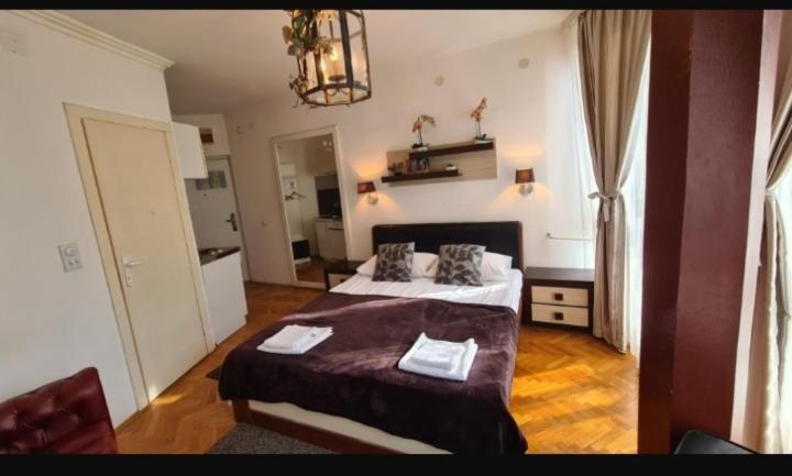 Visoki Stevan Apartments Belgrad Exterior foto