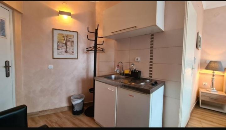 Visoki Stevan Apartments Belgrad Exterior foto